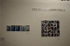 DSC_0513 (FILEminimizer)