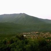 Cuvio