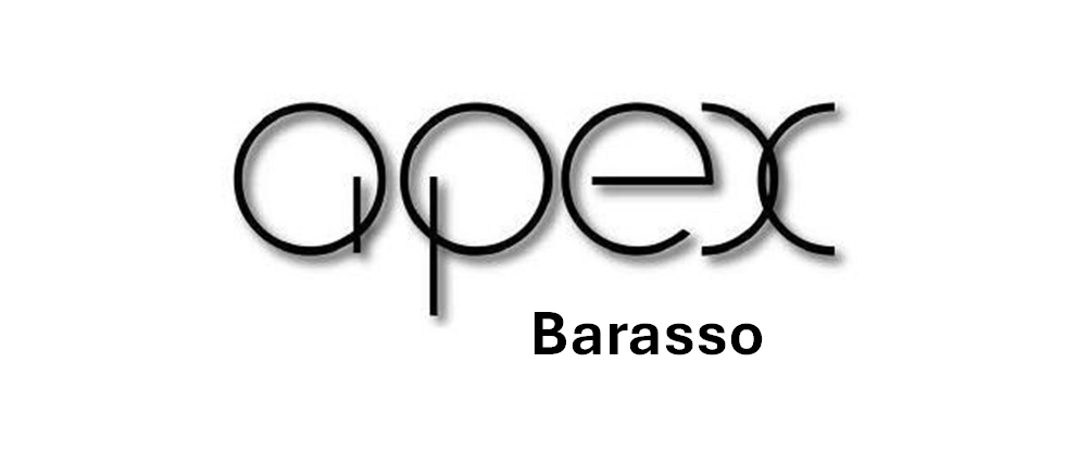 apex srl valigeria barasso